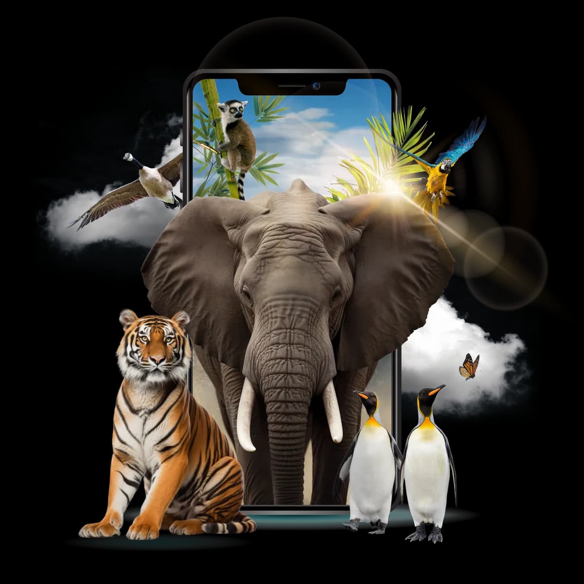 Transform Your Zoo Experience